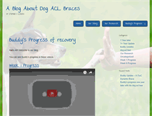 Tablet Screenshot of dogaclbrace.com